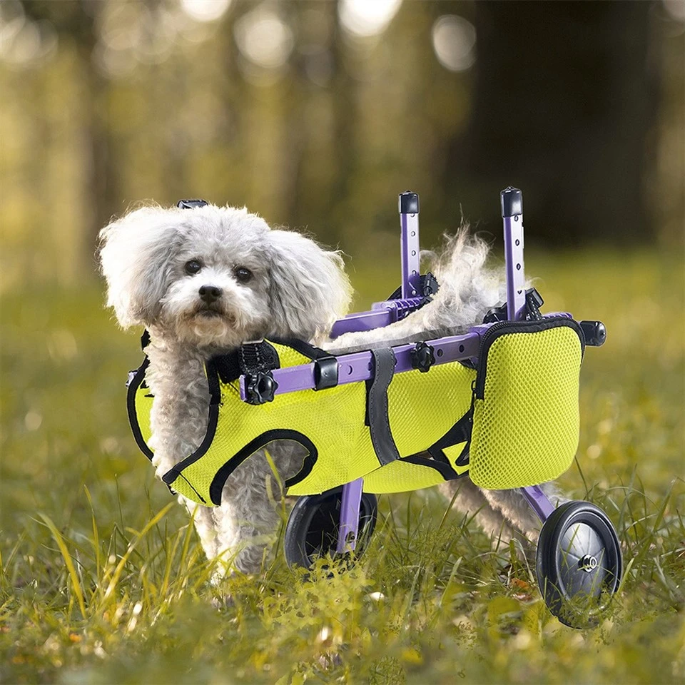 Small Dog Wheelchair For Back Legs suppliers
