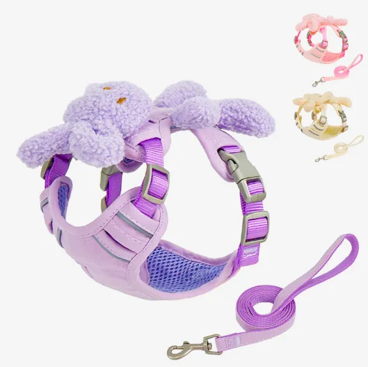 Roztomilá súprava postrojov a vodítok pre psov