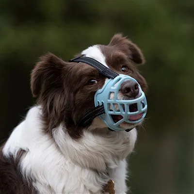 Náhubok pre psa v štýle košíka