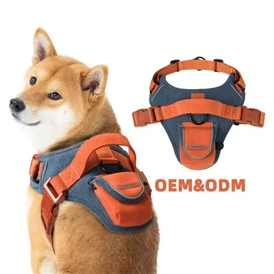 Manšestrový postroj pre psov